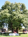 bild (1)